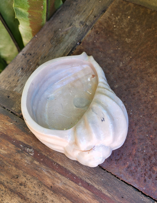 Handmade Sea Shell