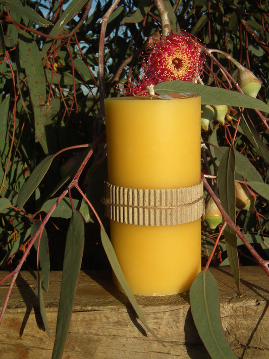 Beeswax candle - Tall Pillar 14cm