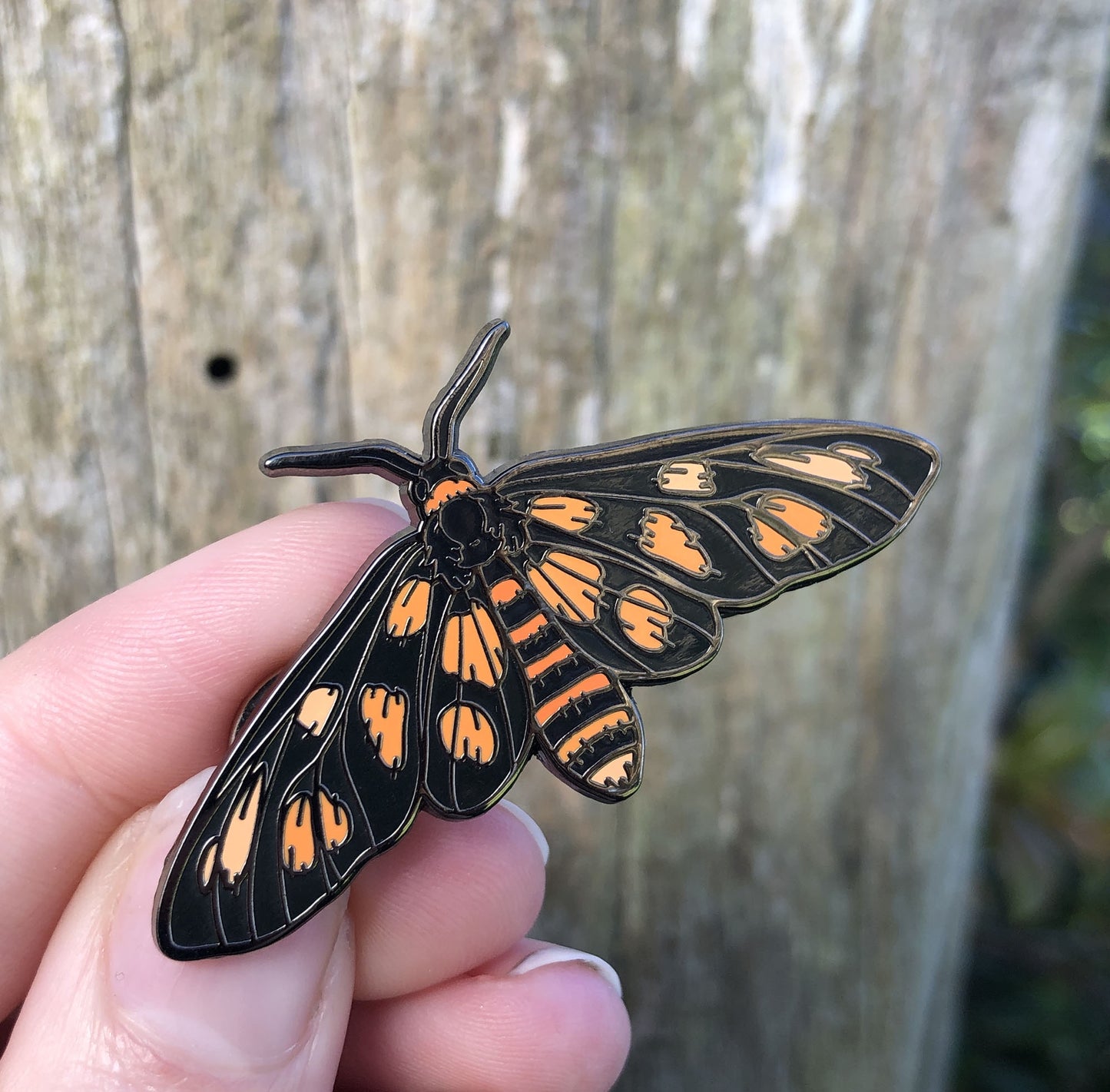 Tiger Moth - Enamel Pin