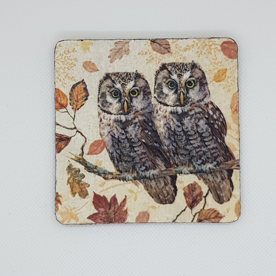 Square cork coasters set of 4 owls, cute and stylish birds 10' x 10' . Fabulous house warming, thank you, birthday gifts.