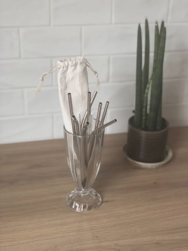 Straws Set Of 8 Plus 2 Cleaners In A Take With You Bag